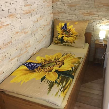 Apartman Slunecnice S Terasou تشيسكي بوديوفيتسه المظهر الخارجي الصورة