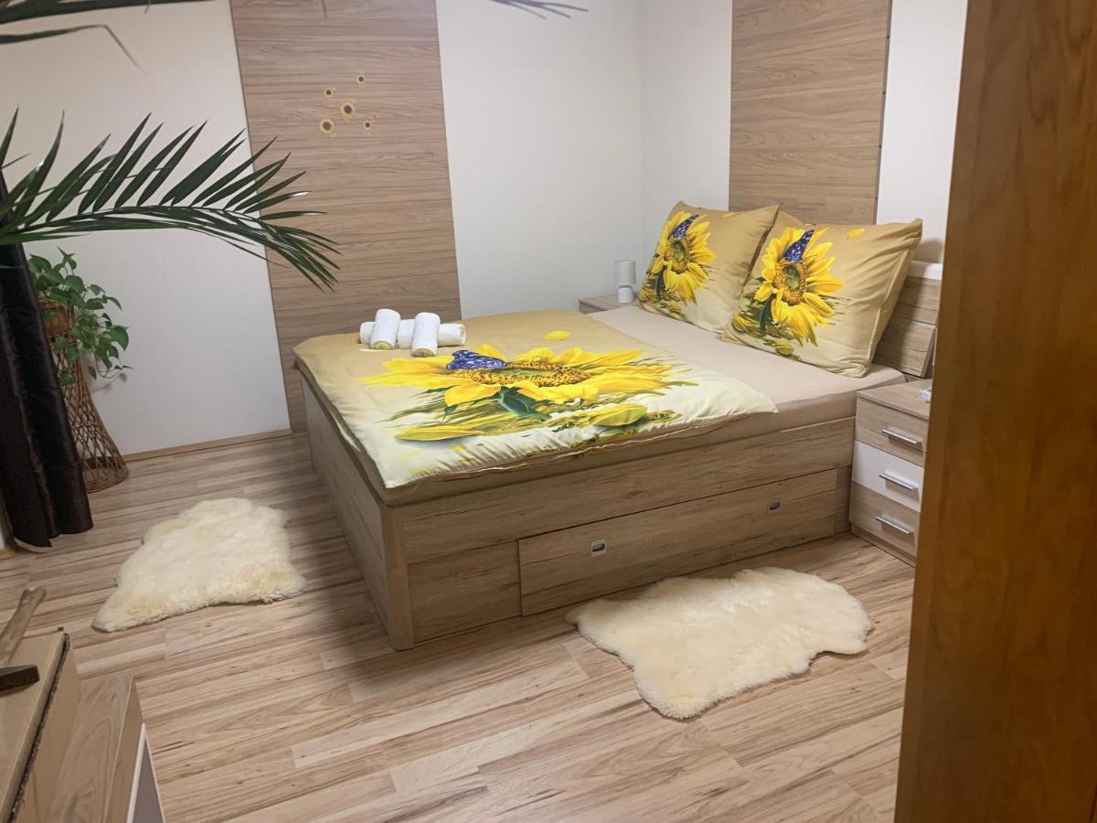 Apartman Slunecnice S Terasou تشيسكي بوديوفيتسه المظهر الخارجي الصورة