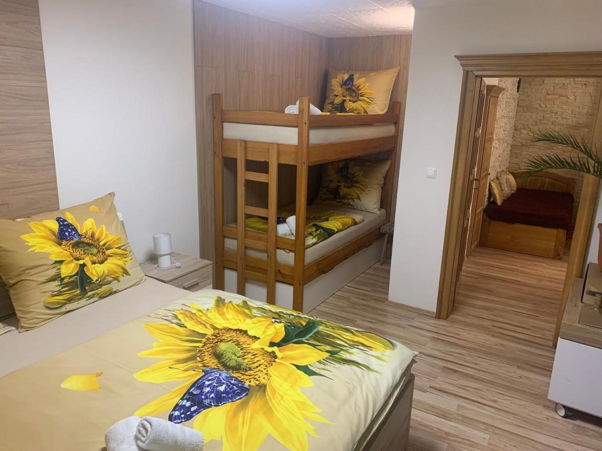 Apartman Slunecnice S Terasou تشيسكي بوديوفيتسه المظهر الخارجي الصورة