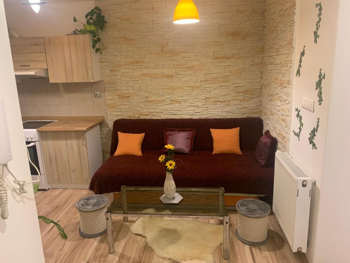 Apartman Slunecnice S Terasou تشيسكي بوديوفيتسه المظهر الخارجي الصورة