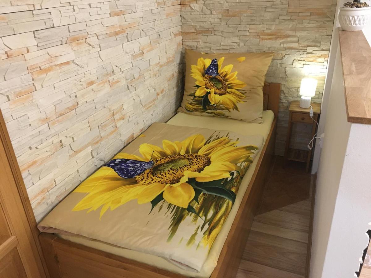 Apartman Slunecnice S Terasou تشيسكي بوديوفيتسه المظهر الخارجي الصورة