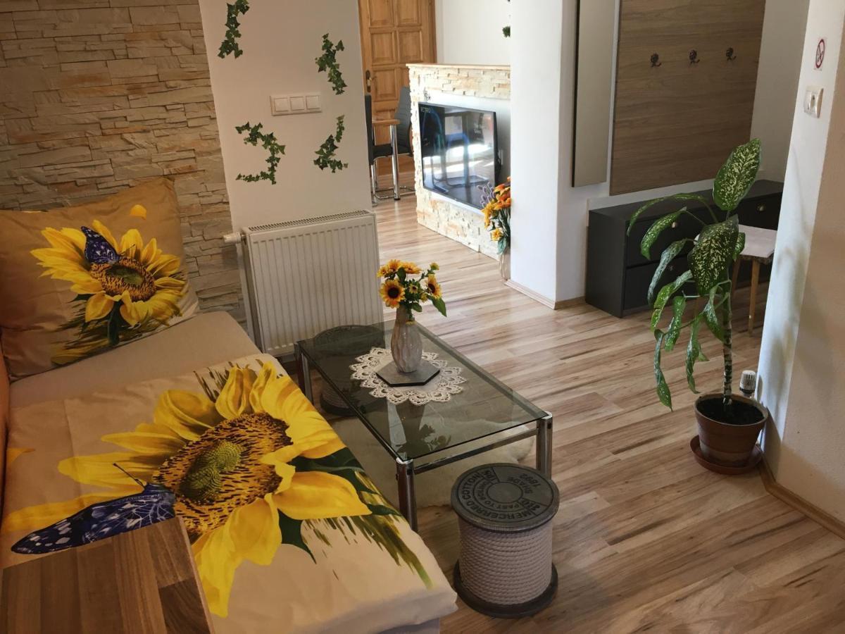 Apartman Slunecnice S Terasou تشيسكي بوديوفيتسه المظهر الخارجي الصورة
