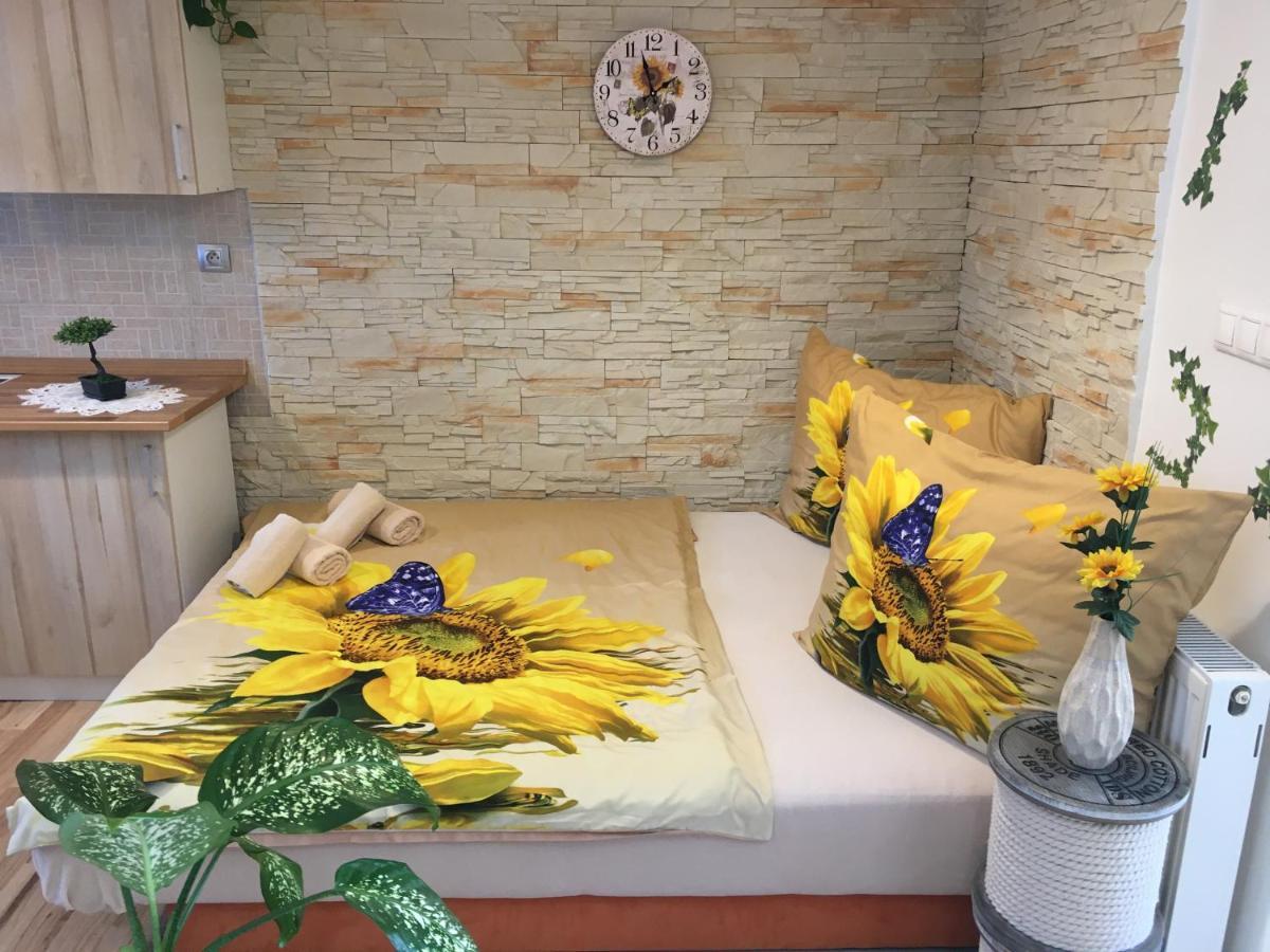 Apartman Slunecnice S Terasou تشيسكي بوديوفيتسه المظهر الخارجي الصورة