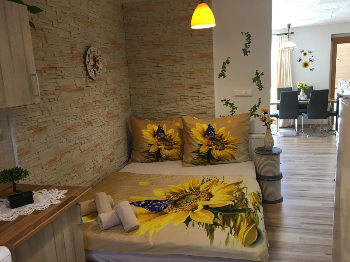 Apartman Slunecnice S Terasou تشيسكي بوديوفيتسه المظهر الخارجي الصورة