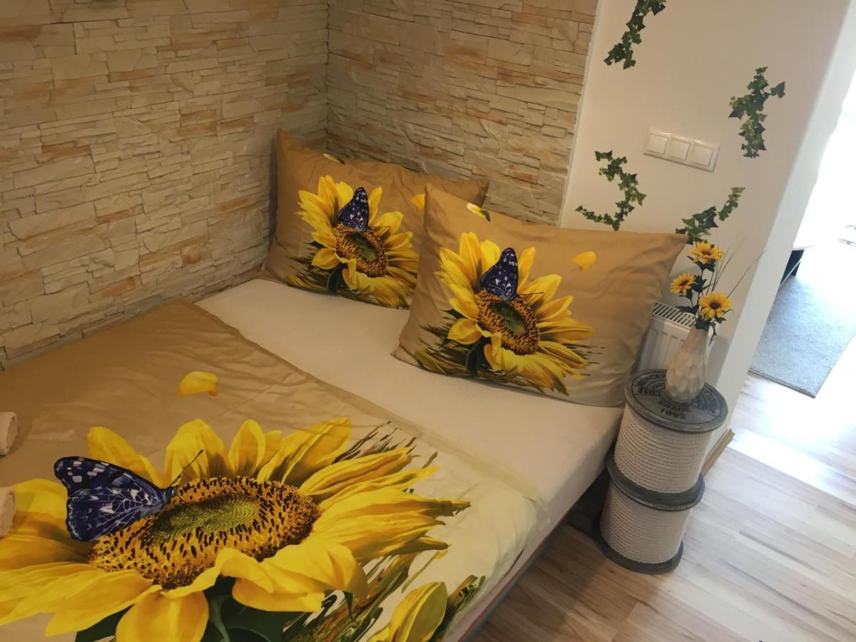 Apartman Slunecnice S Terasou تشيسكي بوديوفيتسه المظهر الخارجي الصورة